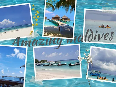 Amazing Maldives beach beauty maldives nature sea travel water