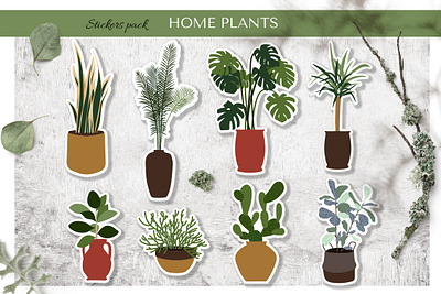 Home plants stickers branding design digital illustration plant sticker vector