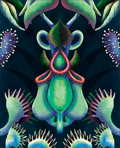 Carnivorous Plants carnivorous plants illustration illustrator plants