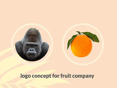 gorrilla orange 3d animal animation brand branding combination design gorrilla graphic design graphicdesigns illustration kingkong logo logodesign motion graphics orange symbol ui ux vector