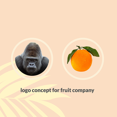 gorrilla orange 3d animal animation brand branding combination design gorrilla graphic design graphicdesigns illustration kingkong logo logodesign motion graphics orange symbol ui ux vector