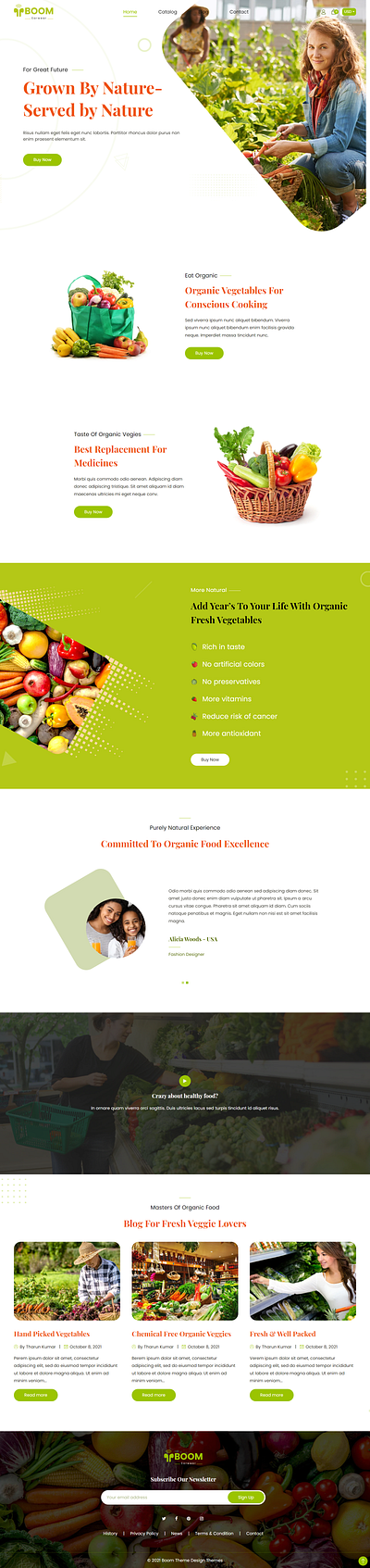 Organic Store Shopify Theme organicshop responsive shopifythemes templates theme web design webdeveloper website website design websitedeveloper