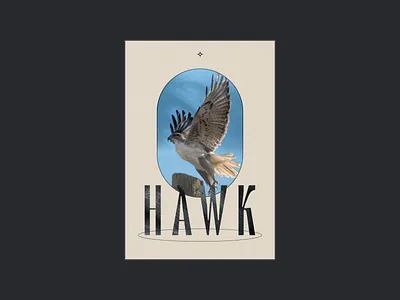Layout exploration with Le Murmure typeface animals bird cherry blossom design dribbble earth eco editorial exploration graphic design hawk layout murmure natural nature photography poster tree typeface typography
