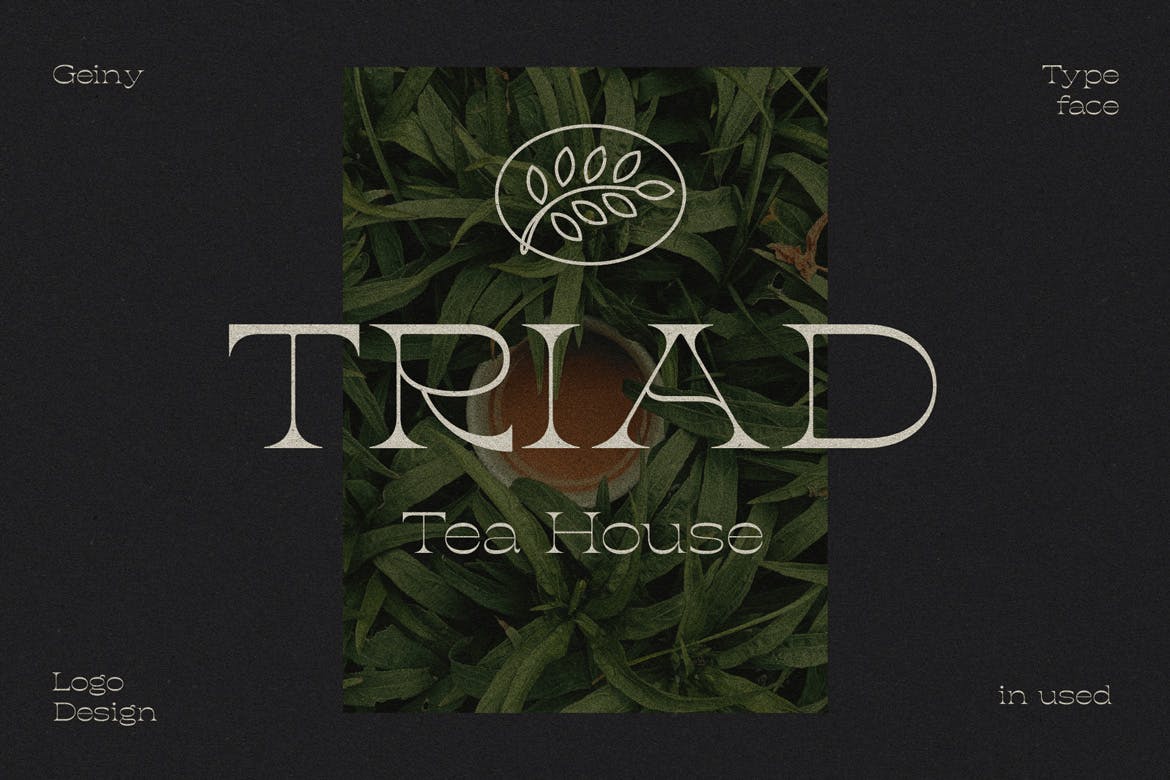 Gieny Display Font app branding design display display font font graphic design illustration logo logo design logotype serif typography ui ux vector