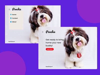 Poochie Website layout graphic design ui user experience user interface web page