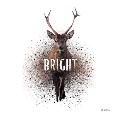 BRIGHT . branding dispersion effect graphic design typography