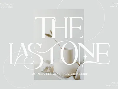 The Lastone bloger display elegant fashiont font graphic design logo design logo type magazine sanserif serif stylish type design typography vintage