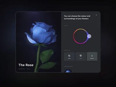 Rose colour change application interface after effects animation app application cinema 4d color design flowers interface motion graphics rose ui ux