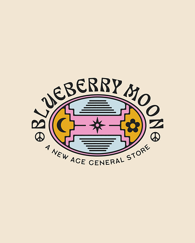 Blueberry Moon Branding branding campy design lifestyle logo storefront vintage