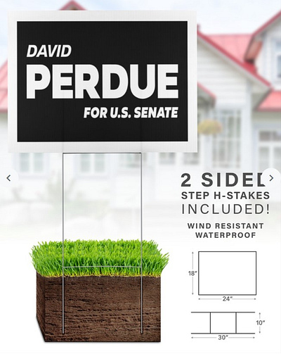 David Perdue for Governor Yard Sign david perdue for governor merch david perdue for governor shirt