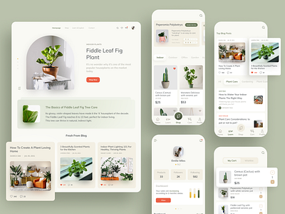 Plant Shop & Blog - Concept Design application blog botanical conceptdesign desktop ecommerce glasseffect glassmorphism indoorplants mobile monstera peperomia plant poc profile shopping shoppingcart ui uidesign ux