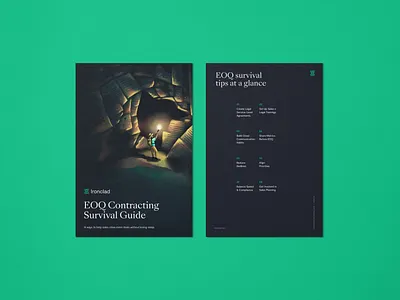 EOQ Survival Guide for Legal Teams adventure branding cave dark design guide illustration light night pdf survival survive texture
