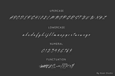 Richie Cillan Font Script & Handwritten classic fonts