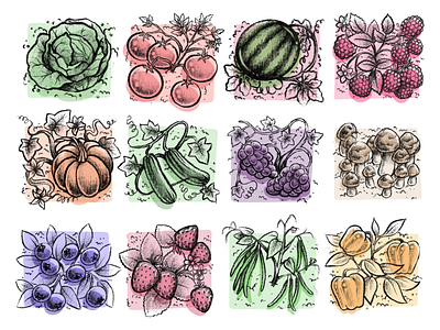 Fruits and Veggies color concept art design drawing illustration pattern sketch