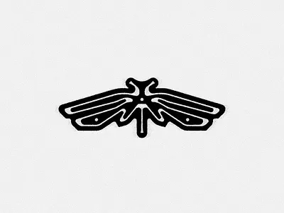 Cicada branding cicada logo mark