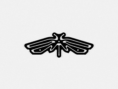 Cicada branding cicada logo mark