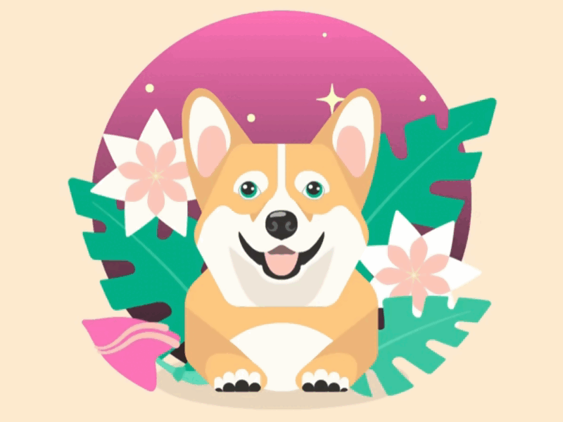 Happy Corgi animation illustration motion graphics vector