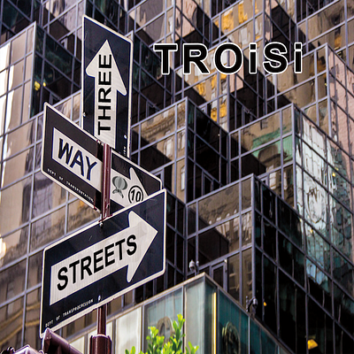 TROiSi - 10th Album album art album cover new york city