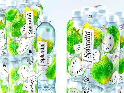 SPLENDID — flavored drinks berries bewerajes bottle brand branddesign brandidentity drink drinks flavored fruit fruits juece label labeldesign logodesign package packagedesign pet petbottle water