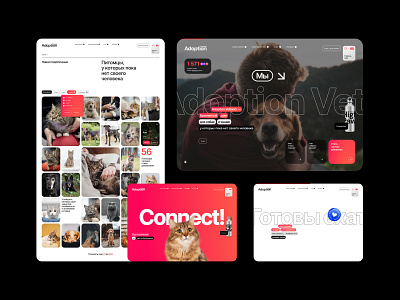 Vet.land animals fullscreen grid logo pet promo site ui ux web website