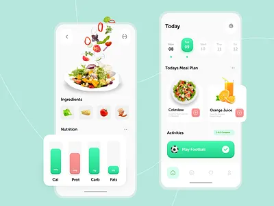 Diet App UI/UX app design app interaction design diet diet management diet ui diet ux mobile application ui ui design ux ux design