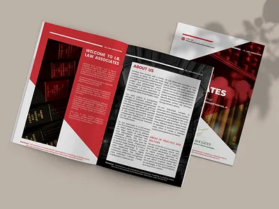 Corporate Brochure Design Legal Tech adobe illustrator branding brochure design graphic design illustration legal mockup
