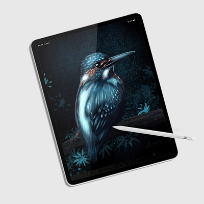 digital bird artwork bird design digitalart digitaldrawing illustration nature procreate