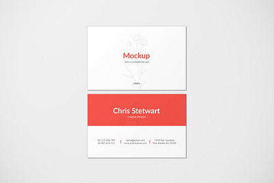 Business Card Mockup brand branding business business card business cards card cards design graphics id identity information landscape logo mockup mockups profile promotion simple template