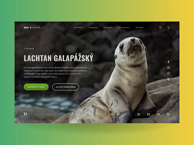 ZOO Prague. Landing Page. animal animation design ui ux web webdesign zoo