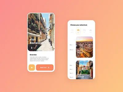 Design Tour Booker app design mobile ui
