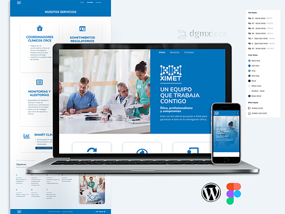 Ximet Web design figma ui webdesign