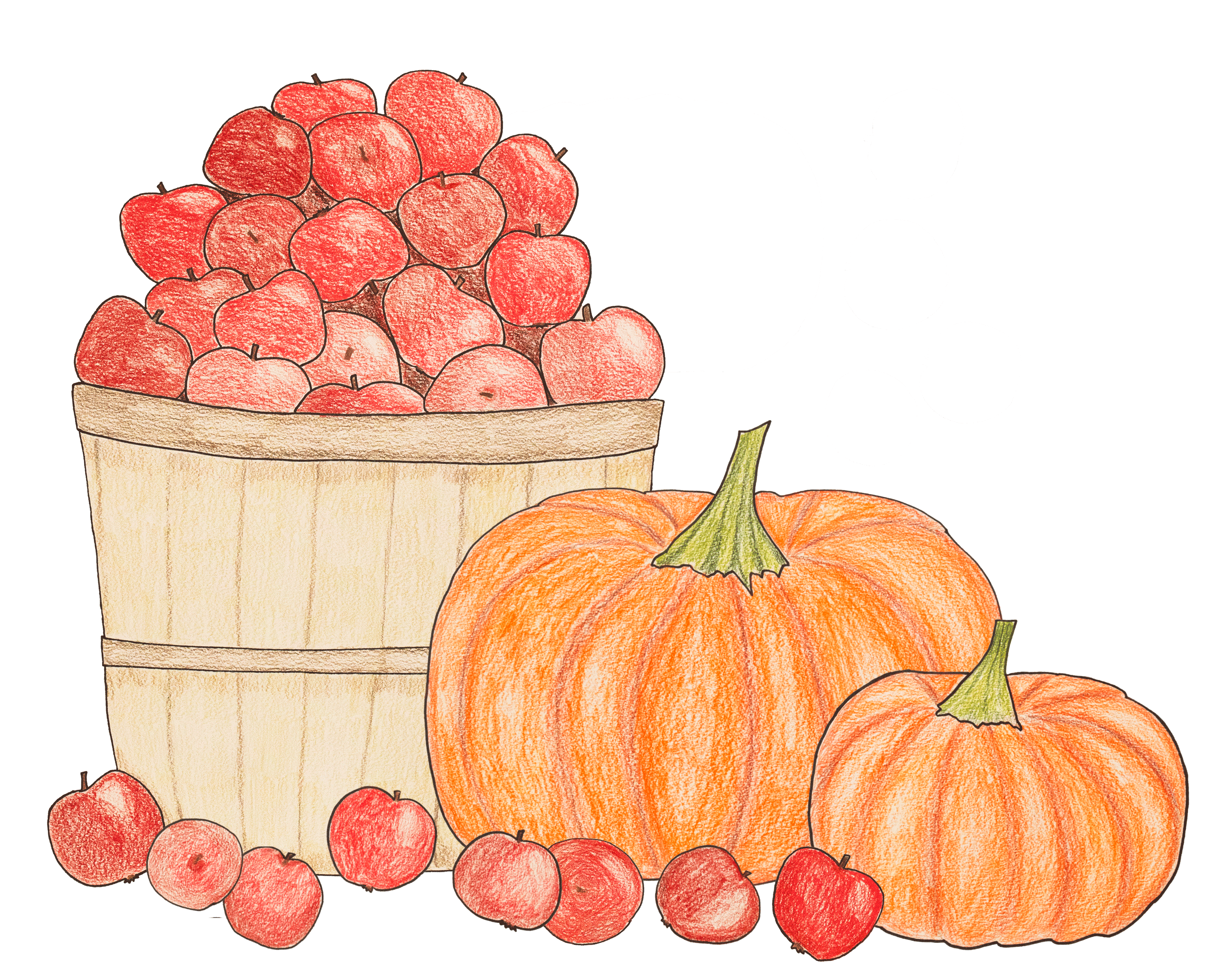 Harvesting apple basket apples coloured pencil design graphic design illustration pumpkin