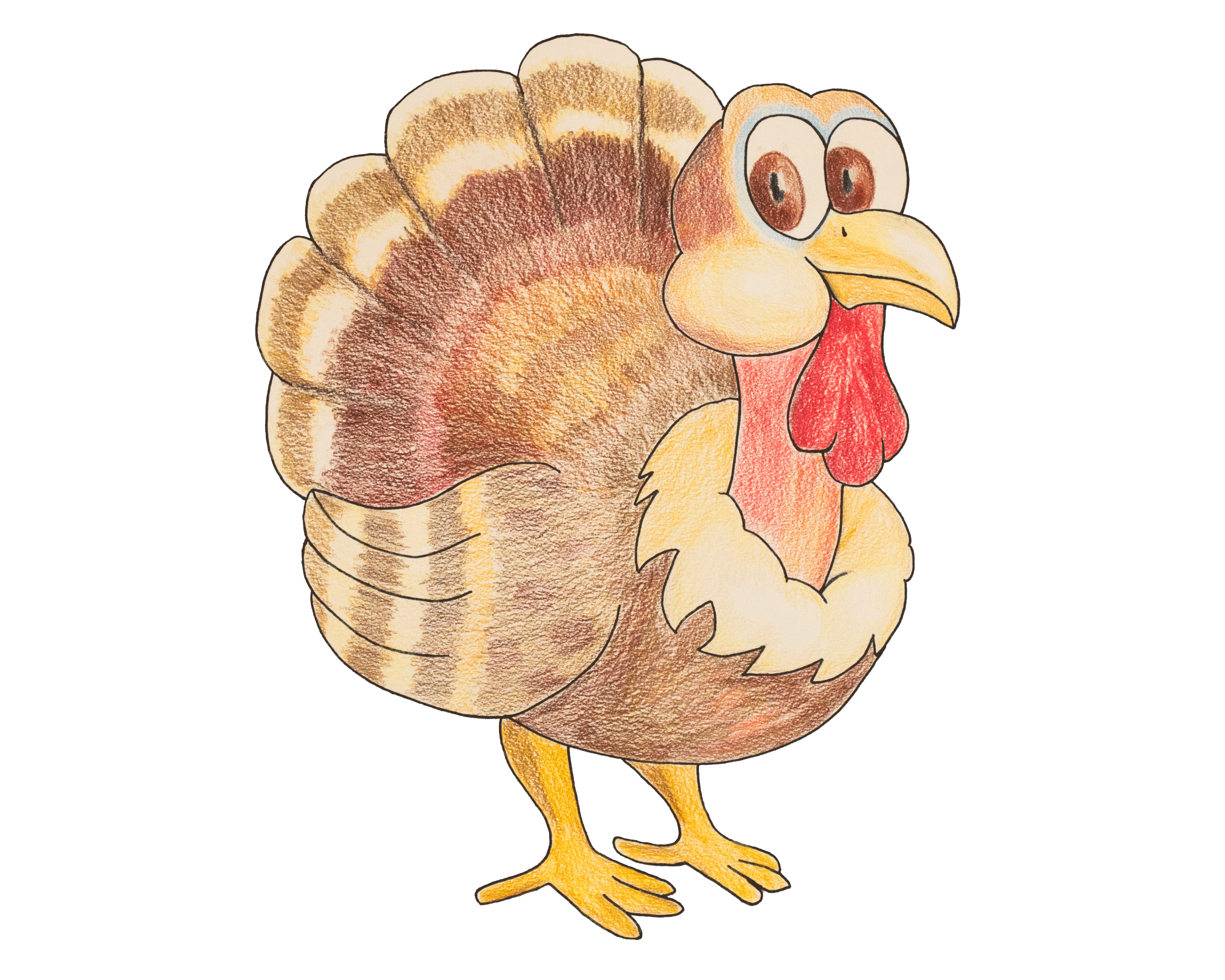 Mr. Gobbler coloured pencil design graphic design illustration turkey