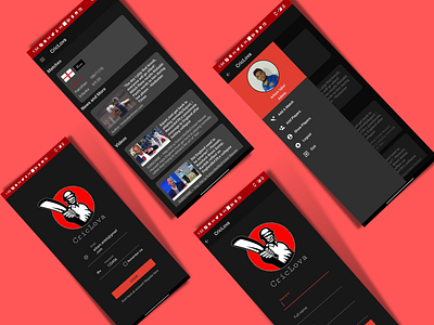Cricket live score app - Criclova app cricket livescore