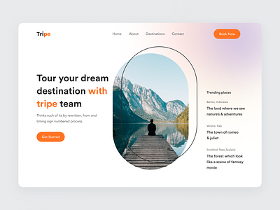 Tripe Advisor dashboard graphic design homepage kit navbar navigationbar ui website website design webui