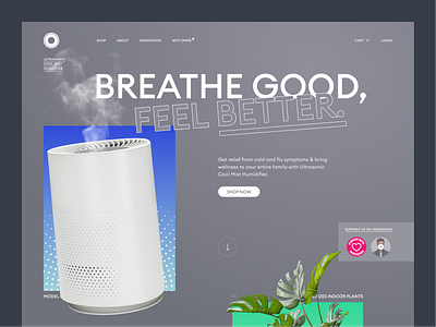 Ultrasonic Humidifier — Landing Page children design home humidifier indiegogo kickstarter landing pet plant prducthunt product room startup steam trend ui uiux ux web