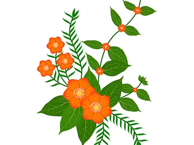 Floral Illustrations abstract art background beautiful beauty blossom digital digital art drawing floral floral design illustration vector