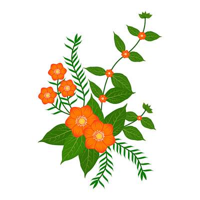 Floral Illustrations abstract art background beautiful beauty blossom digital digital art drawing floral floral design illustration vector