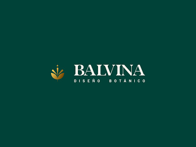 Balvina branding garden logo mexico vector