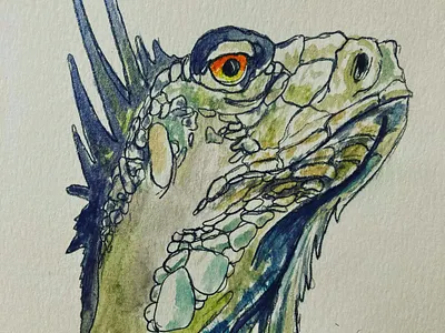 Iguana Watercolor art create design iguana reptile watercolor