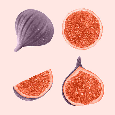 Figs 4 Ways botanicalillustration figs greetingcards illustration pink spotillustration surfacepatterndesign vintage wallart