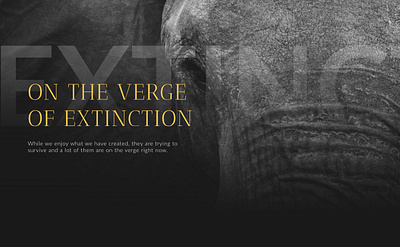 Website | On the Verge of Extinction design ui website