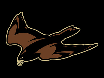 Falcon athletic branding bird of prey branding design falcon logo
