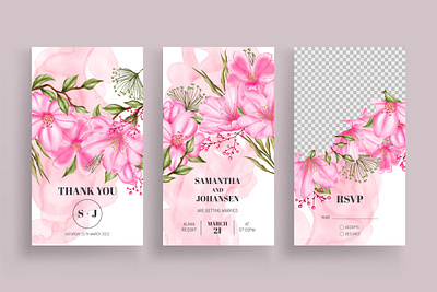 Pink flower instagram stories collection for wedding invitation background card celebrate engagement floral flower frame instagram instagram stories invitation leaf leaves love mariage post savethedate social media template watercolor wedding