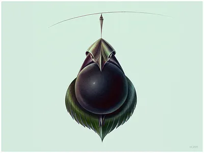 PLANT-BIRD (3) character design design digital drawing graphic hand drawing illustration nature