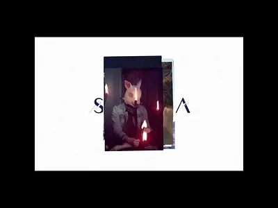 Sonia Presne — Portfolio art direction art director clean cover design homepage hover interaction layout liquid minimalism minimalist portfolio project simple single transition ui webdesign