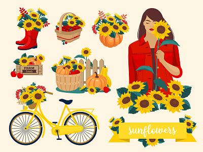 Sunflowers are a set of vector cliparts. pumpkin