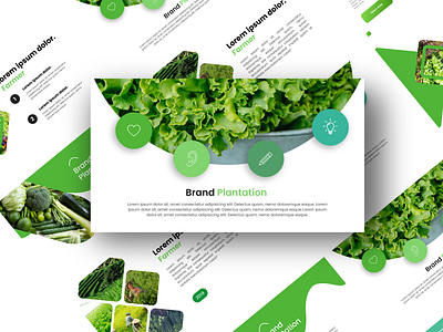 Presentation Design - Plantation design graphic design plantation powerpoint ppt presentation presentation design