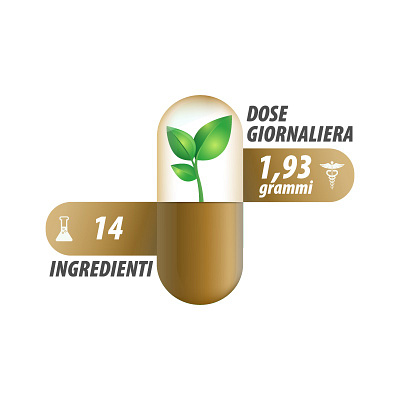 Economic Ingredients Icon Illustration illustration