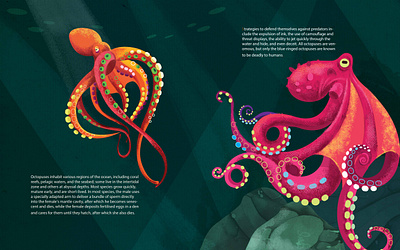 octopuses animals design digital editorial graphic design illustration octopuses vector